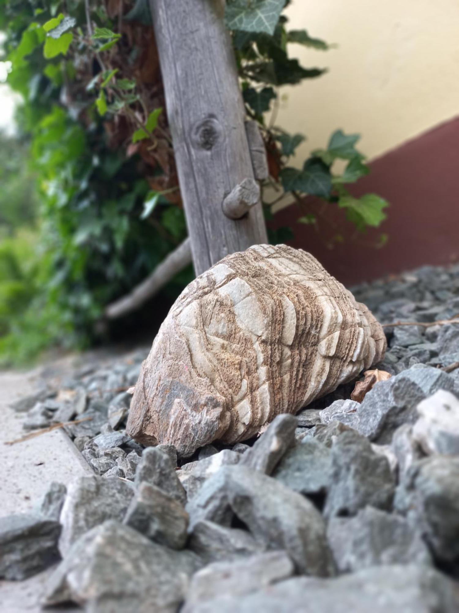 Steurer Hof Apartman Liebenfels Kültér fotó