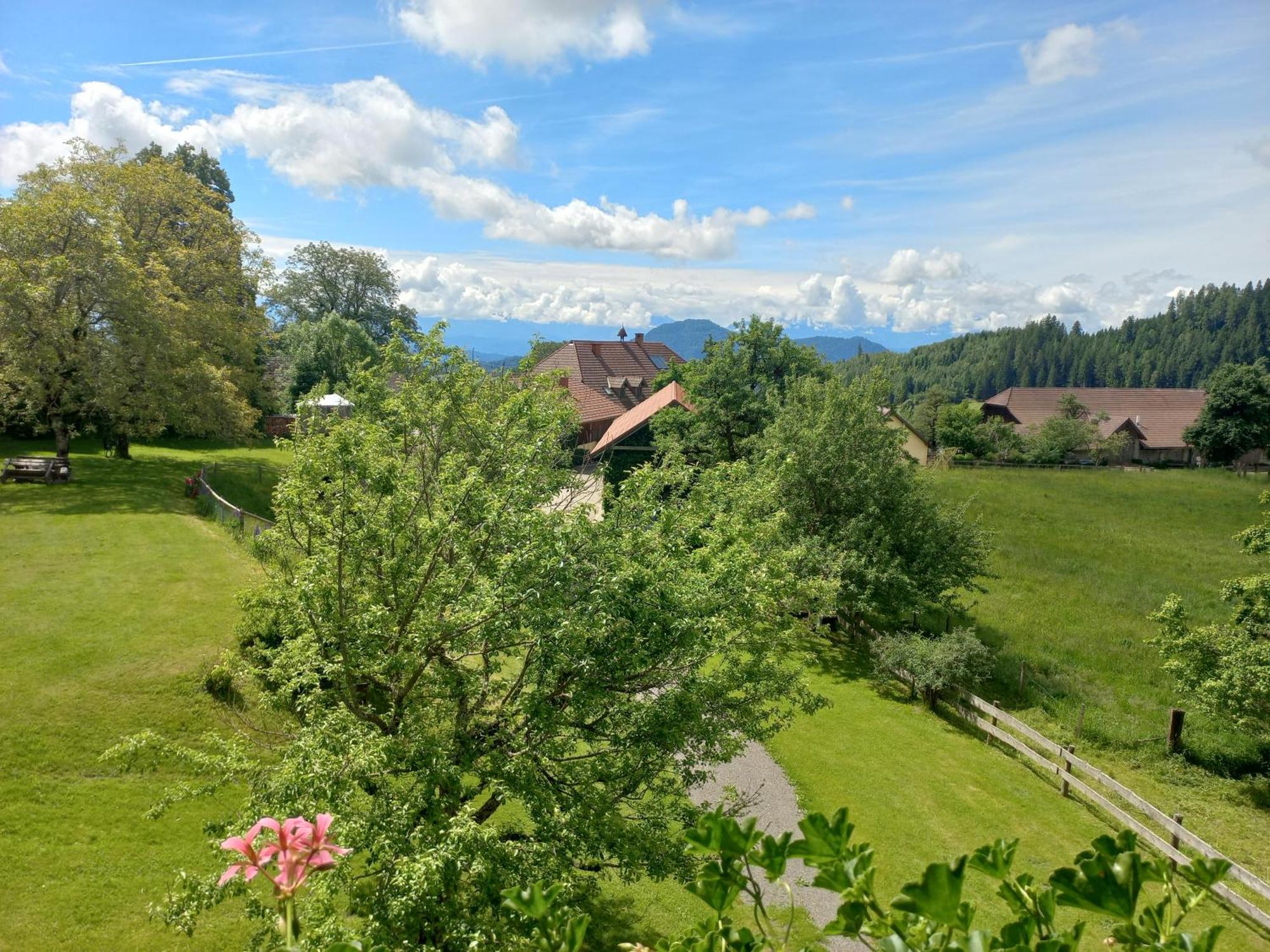 Steurer Hof Apartman Liebenfels Kültér fotó