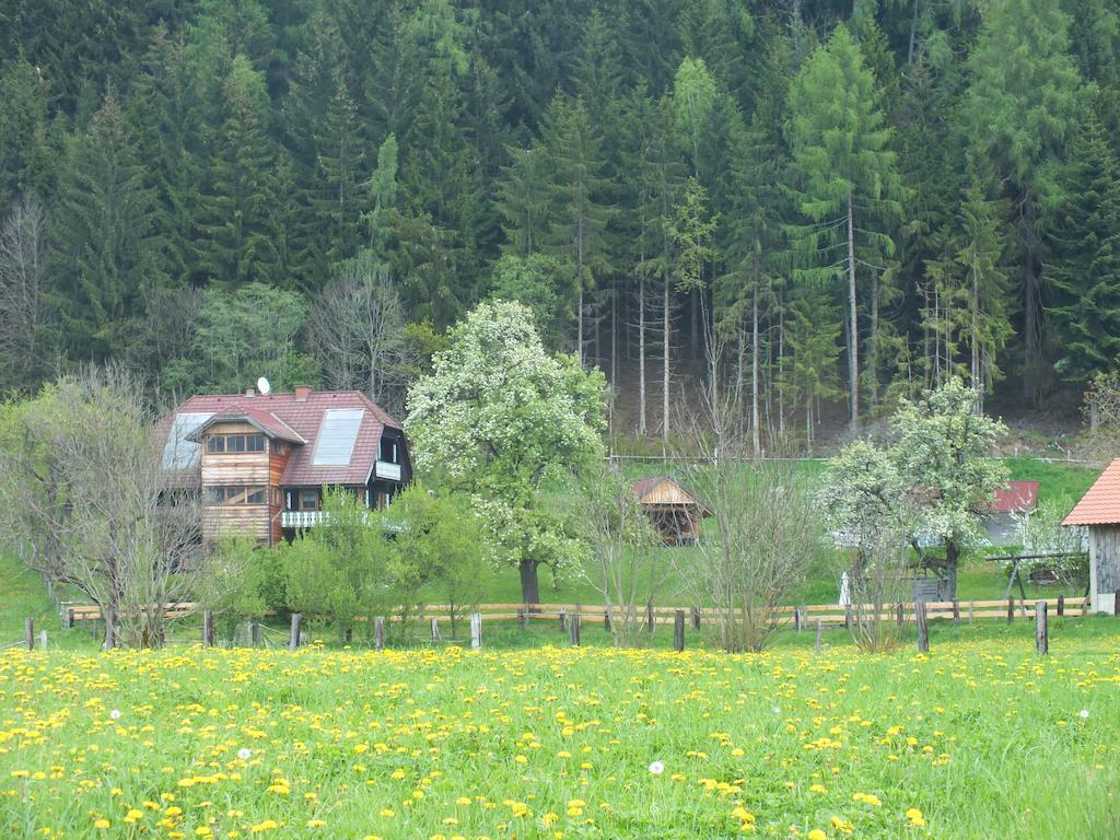 Steurer Hof Apartman Liebenfels Kültér fotó