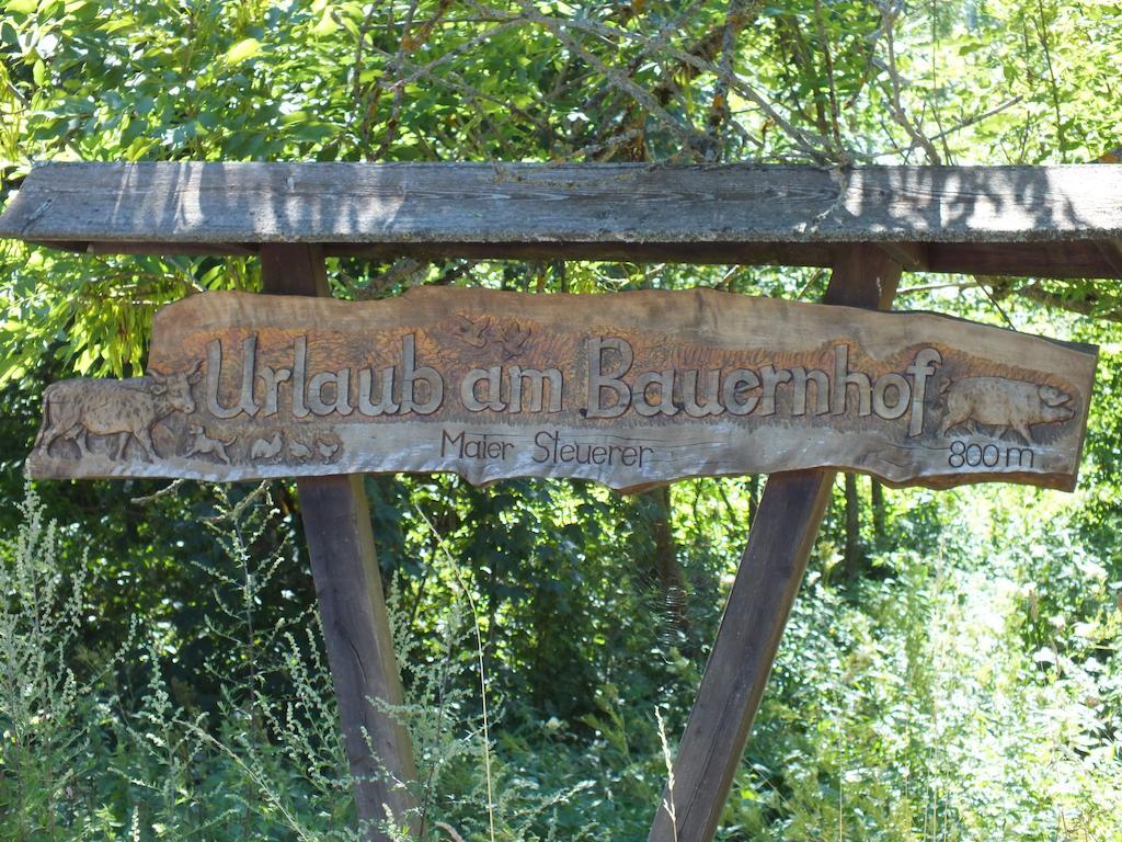 Steurer Hof Apartman Liebenfels Kültér fotó